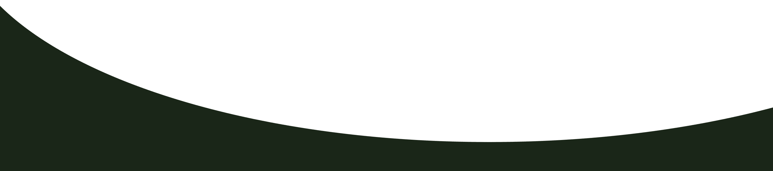 Web Curve Evergreen-01